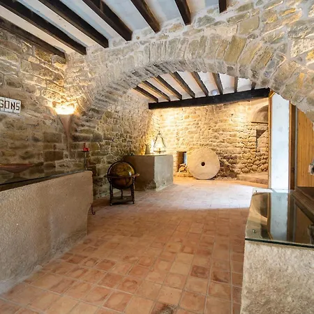Castell In Girona *